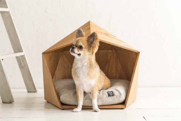 Le cucce di design giapponese che rendono felici i vostri cani e gatti