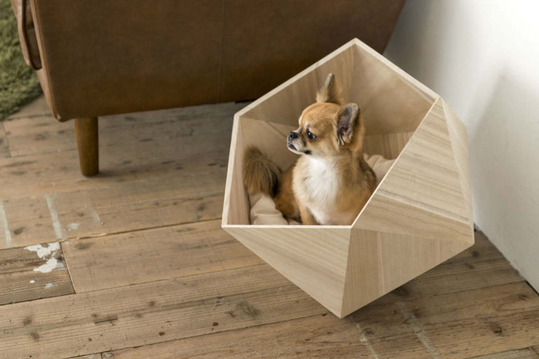 Le cucce di design giapponese che rendono felici i vostri cani e gatti