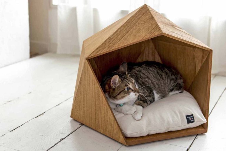 Le cucce di design giapponese che rendono felici i vostri cani e gatti