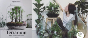 Terrarium i giardini di ellis