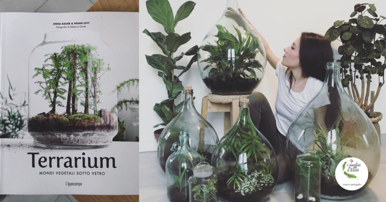 Terrarium i giardini di ellis