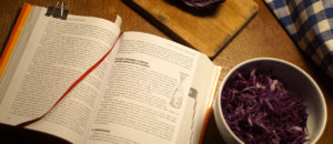 Grande-libro-fermentazione 000