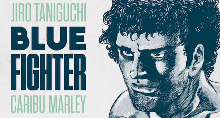 Blue fighter