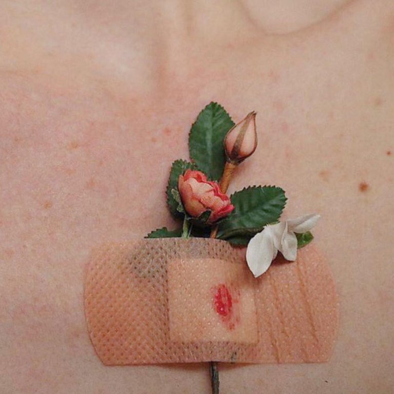 Virgin Suicides, l'arte provocatoria di Cécile Hoodie