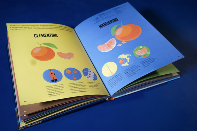 Gufo civetta libro clementina mandarino