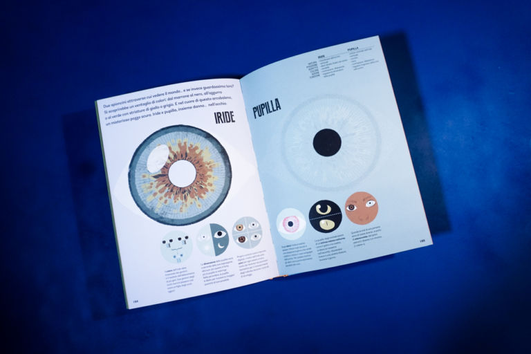 Gufo civetta libro iride pupilla