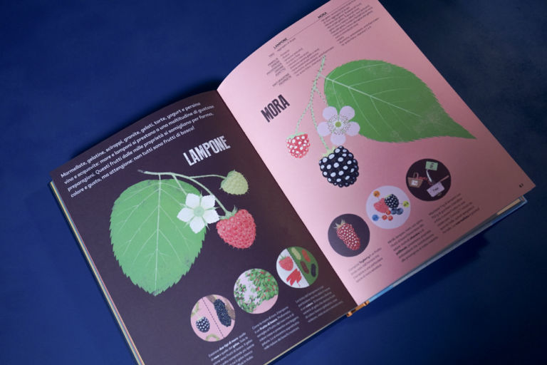 Gufo civetta libro lampone mora