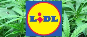 Lidl m