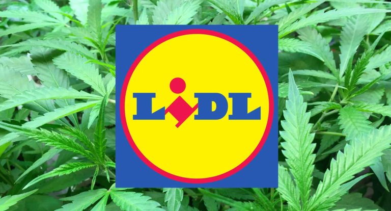 Lidl m