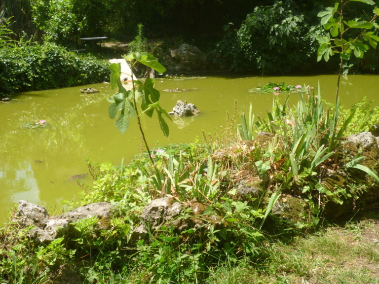 L'Orto Botanico dell'Università di Pisa