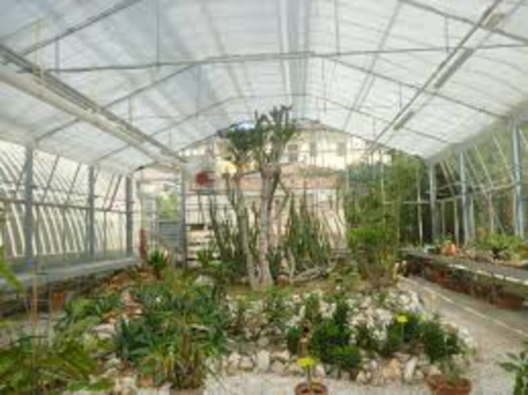 L'Orto Botanico dell'Università di Pisa
