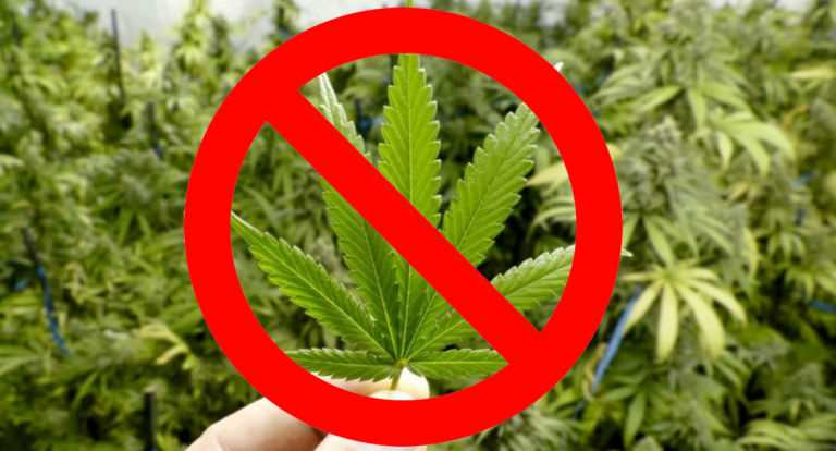 Cannabis light
