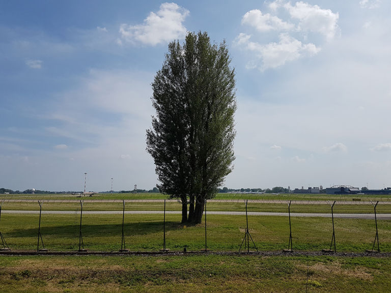 La Traversata di Milano a Piedi