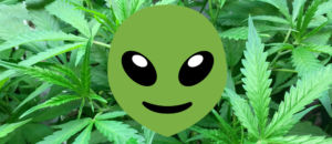 Alieno