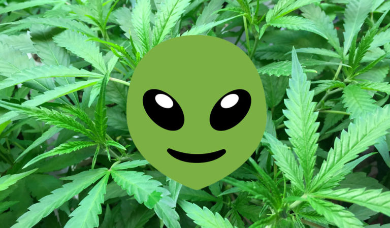 Alieno