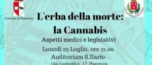 Erba della more