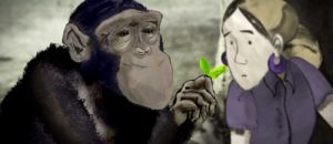 Chimp1
