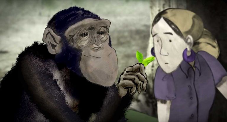 Chimp1
