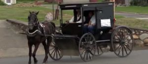 Amish