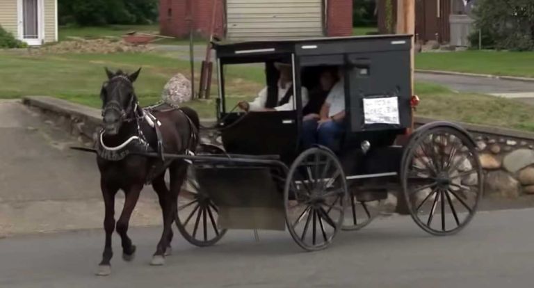 Amish