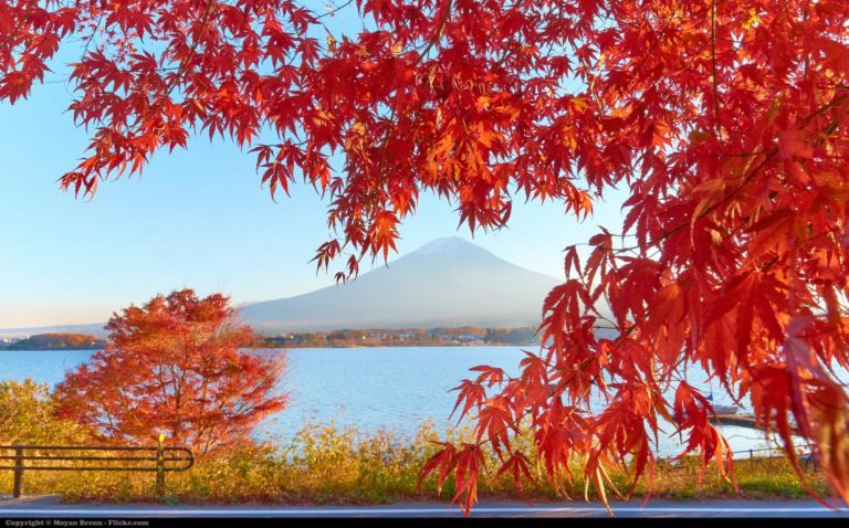 Mini Lake Kawaguchiko and Mount Fuji at sunset during the Momijigari period