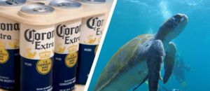 TARTARUGA BIRRA biodegrabile imballo