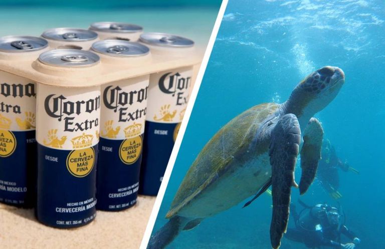 TARTARUGA BIRRA biodegrabile imballo