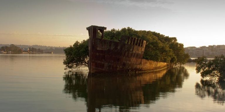 800px Homebush Bay SS Ayrfield
