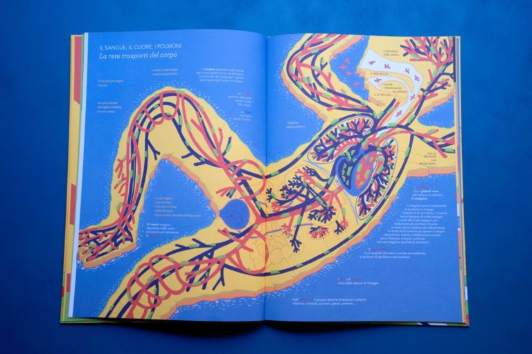 Esplora il tuo corpo
