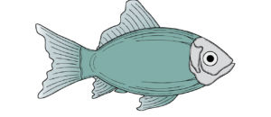 Pesce aprile