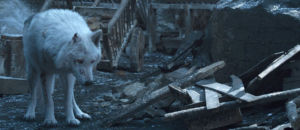 Ghost GoT