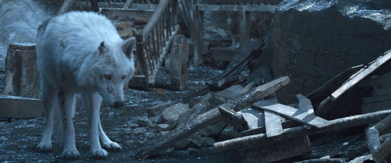 Ghost GoT