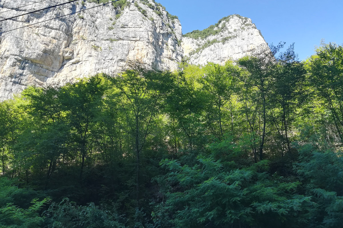 Il tempio è dietro quel bosco, nella roccia