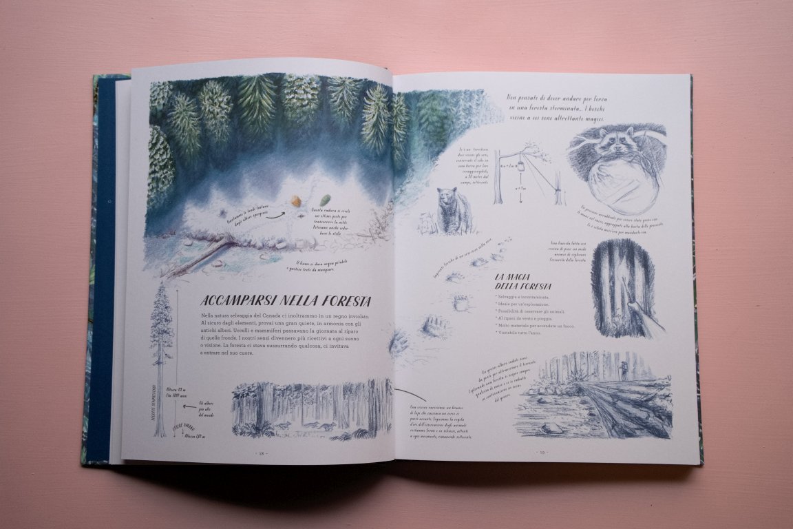 Accamparsi nella foresta