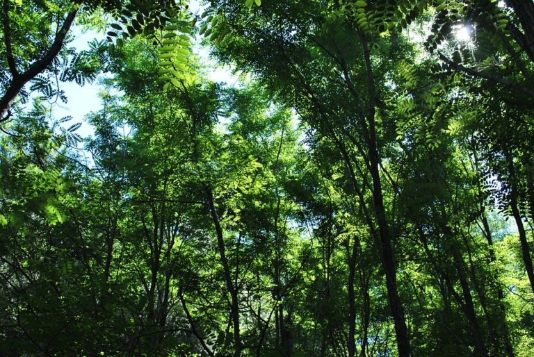 Landscape 3407556 960