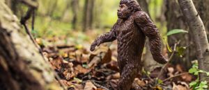 Animal bigfoot evolution