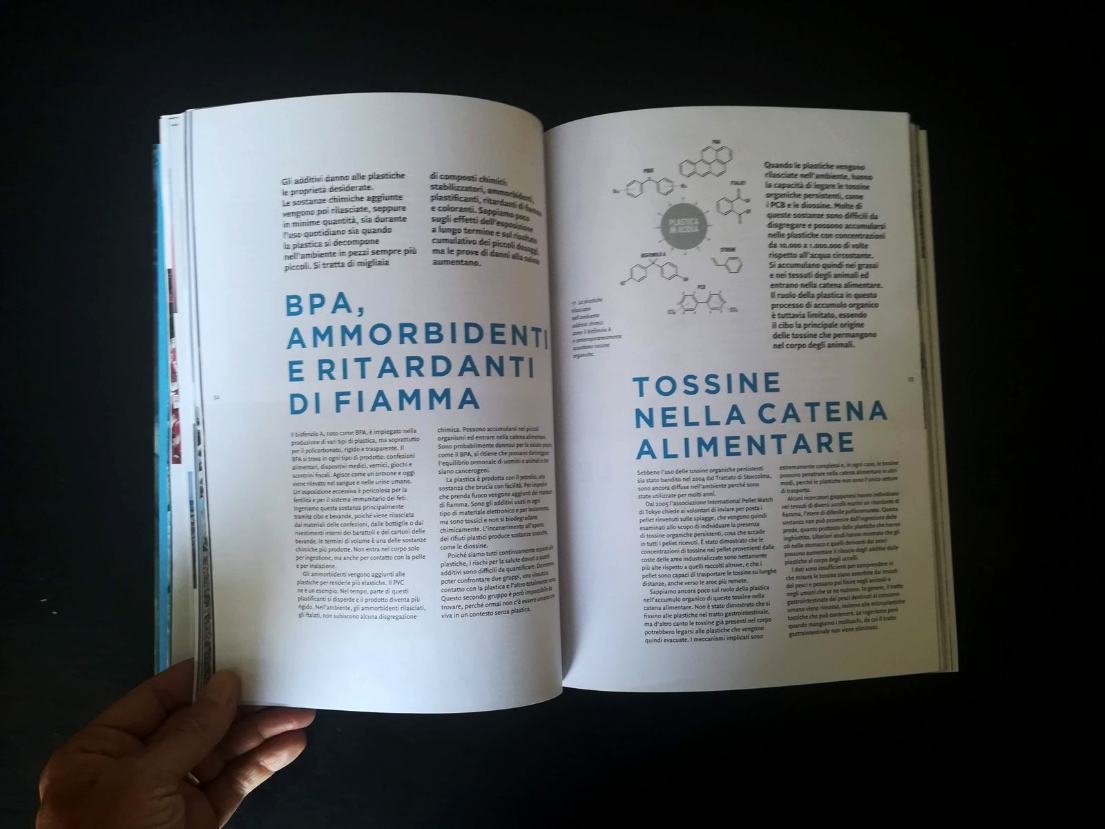 La plastica nella catena alimentare
