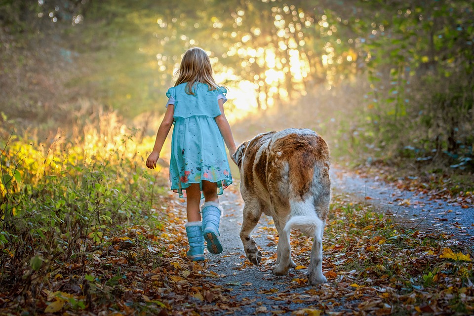 https://pixabay.com/photos/child-dog-forest-autumn-childhood-3900393/