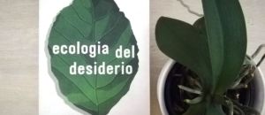 Ecologia del desiderio antonio cianciullo