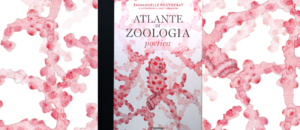 Atlante di zoologia poetica