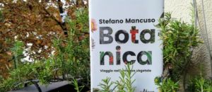 Tutto quello che sapete sulle piante è sbagliato, lo dice Stefano Mancuso