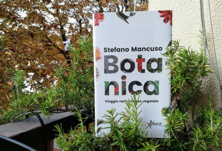 Tutto quello che sapete sulle piante è sbagliato, lo dice Stefano Mancuso