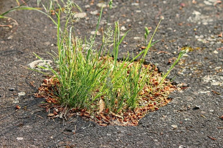 Asphalt 3439575 960