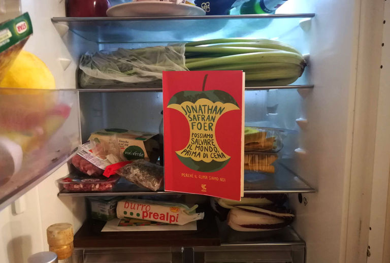 Il libro e il frigo, Foto Dailybest