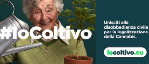 BANNER 730x300 IO COLTIVO