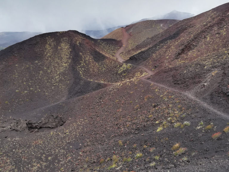 Etna silvestri marziani