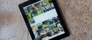 Google photo pagamento giugno