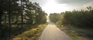 Bike path 189174