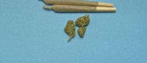Marijuana 2248066