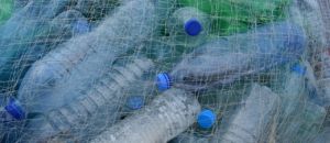 Plastic bottles 388679